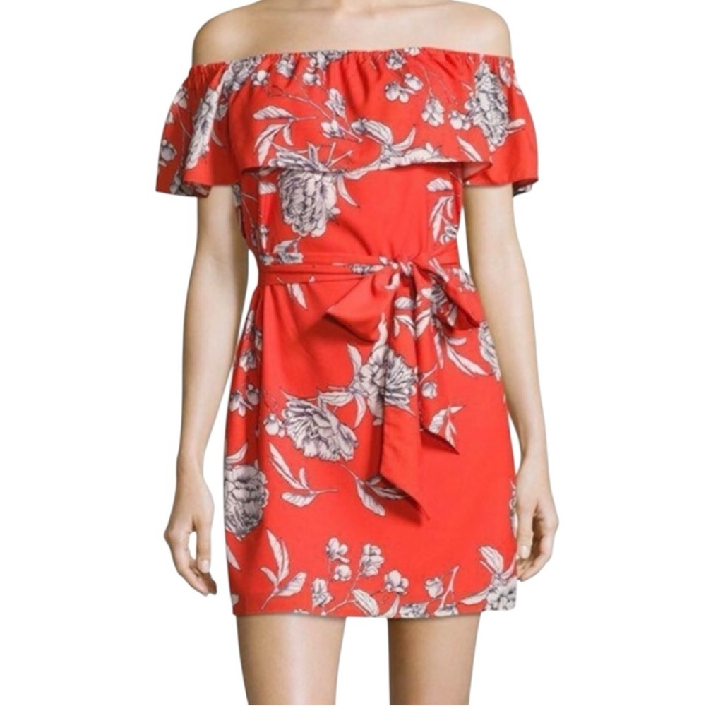 Yumi Kim French Rose Ruffle Belted Mini Dress